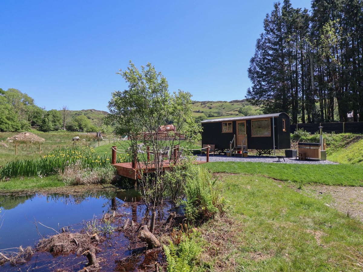 Celyn shepherd's hut beside a pond, deck seating, grass, and surrounding woodland