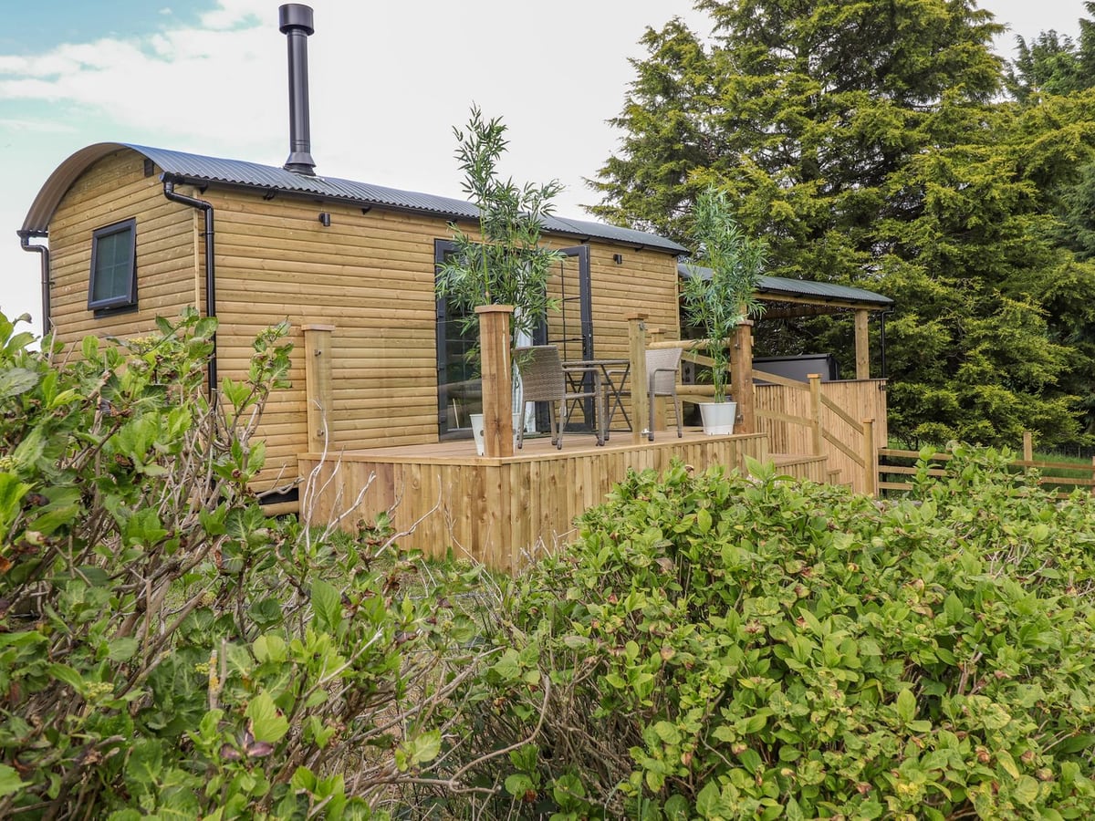 High Rigg Shepherd's Sunrise timber hut with a raised deck above a leafy hedge
