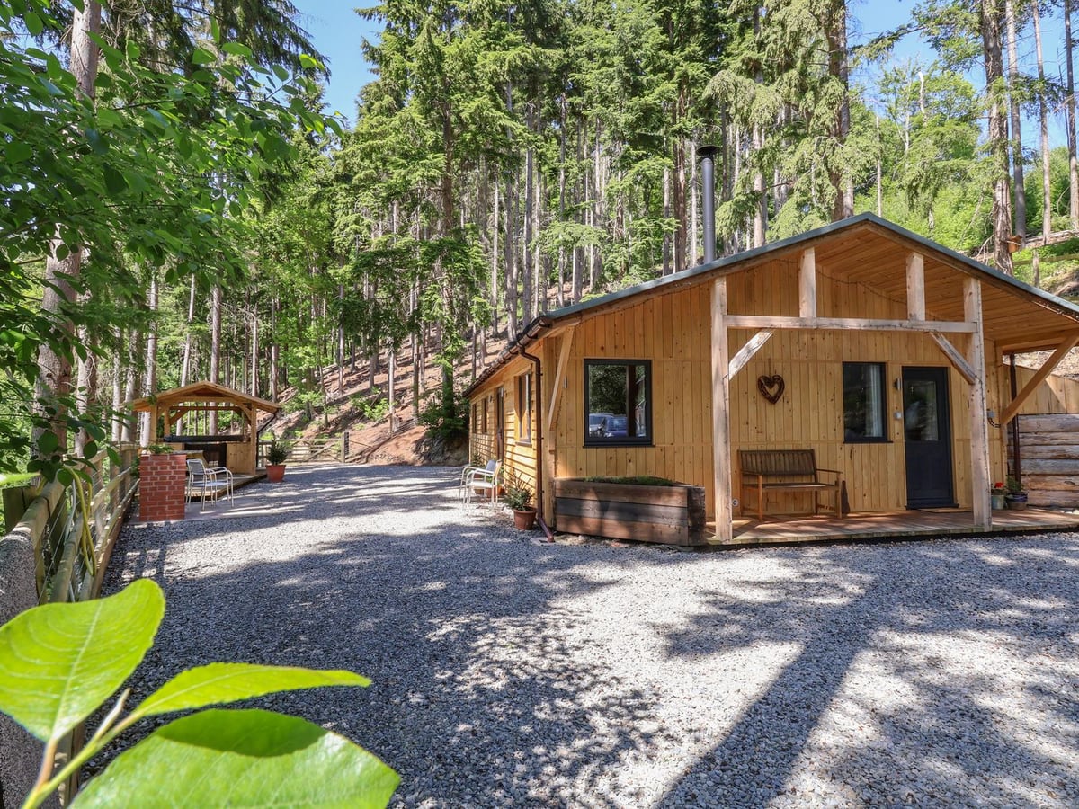 Lady Bagots Cabin, a timber cabin on gravel among tall conifers, with a hot tub shelter to the left
