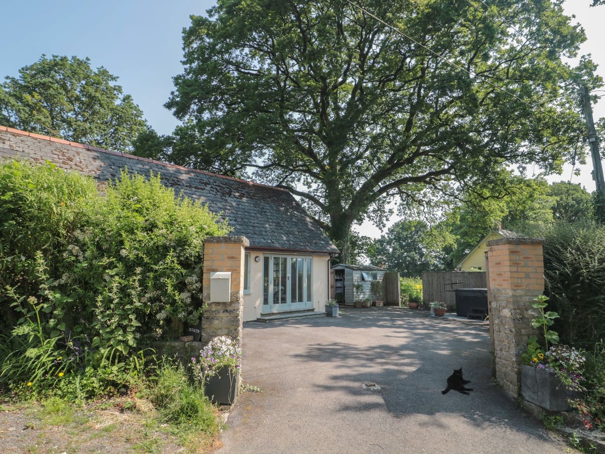 Cream cottage with glazed doors and a paved courtyard beneath a large tree at Nuthatch