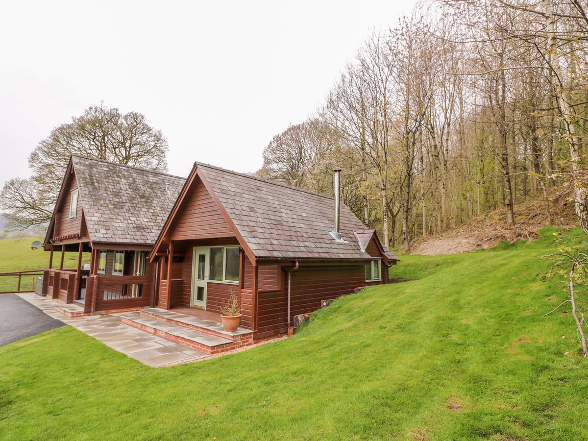 Pines Pitch timber lodge with a paved terrace, porch steps and a sloping lawn below woodland trees