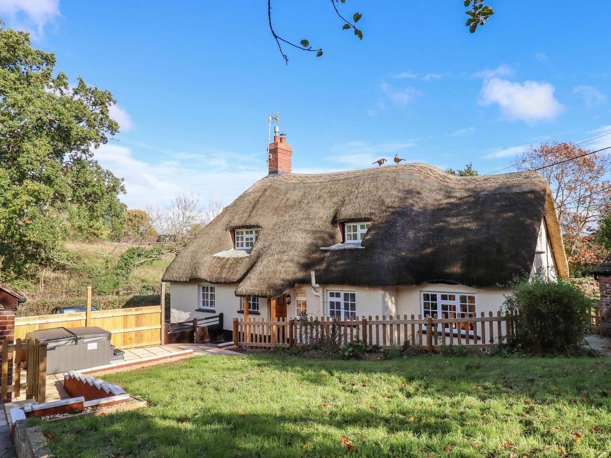 Thatched roof and white cottage walls behind the lawn and planting at Posbury Lodge