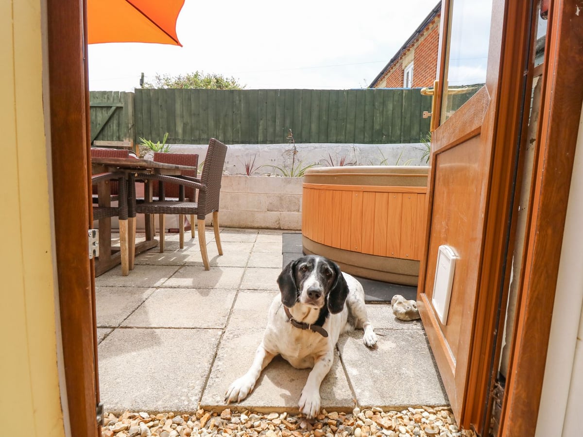 Station Avenue dog lying by the open door to a walled patio and hot tub