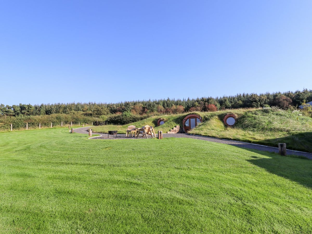 Weirglodd grass-roofed pod with a broad lawn, round windows and outdoor fire-pit seating