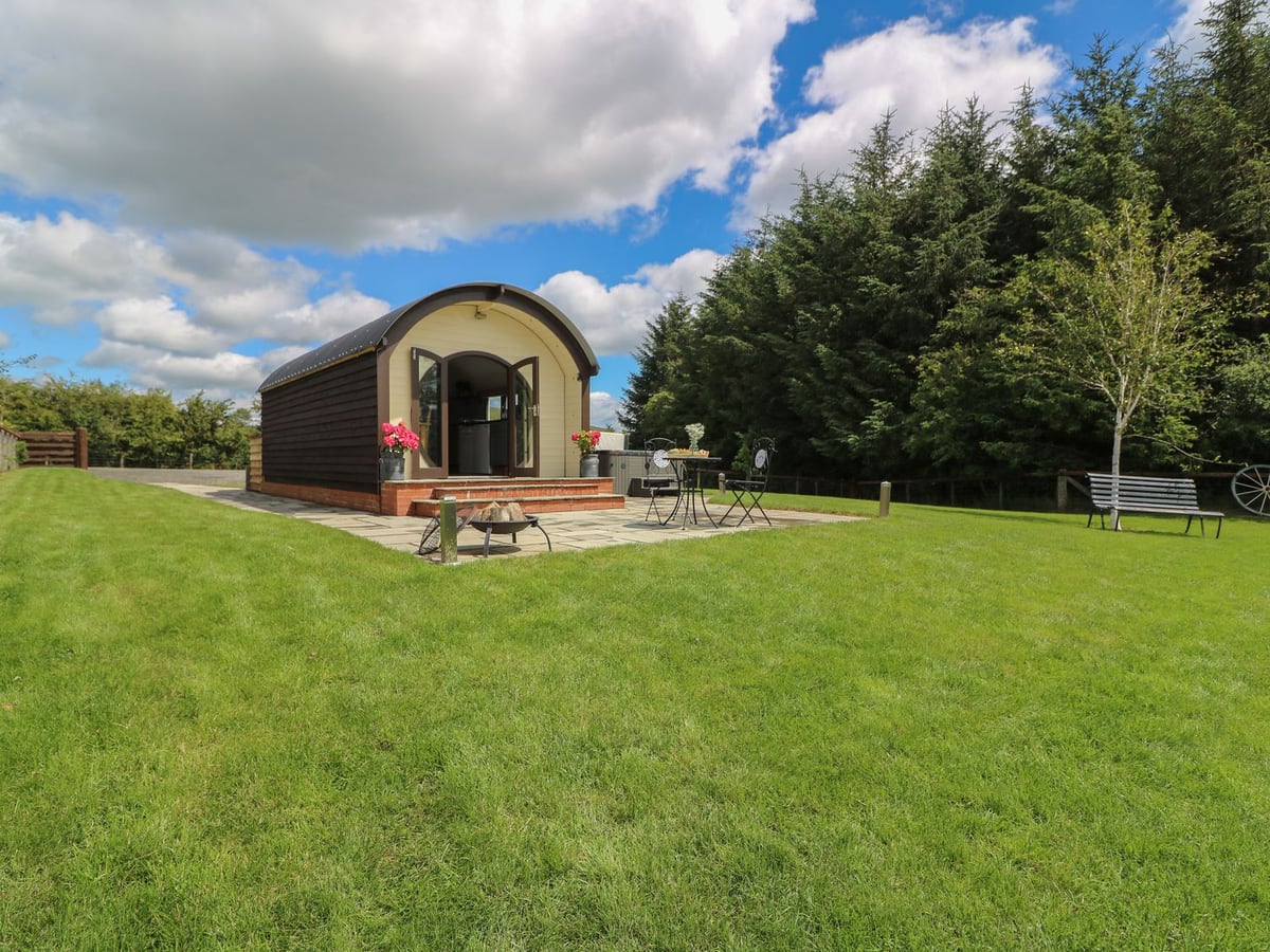 Woodland View cabin with patio, bistro set and fire pit on a lawn beside tall conifer trees
